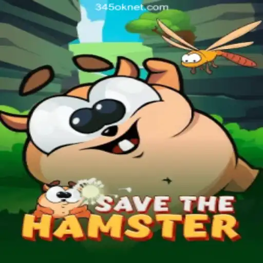 Exploring SavetheHamster: An Engaging Game Experience